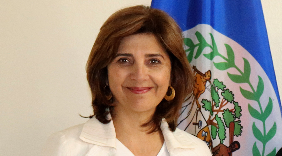 María Ángela Holguín Cuéllar. Foto: Cancillería.