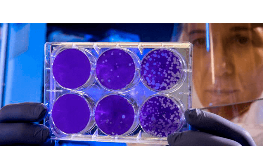 Simpiox Precio España