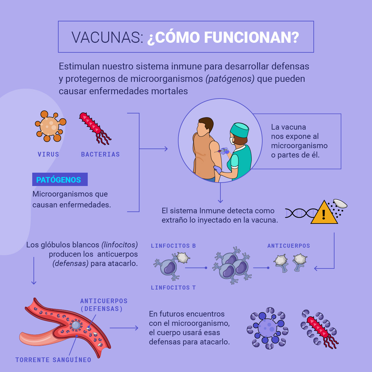 cómo funciona una vacuna