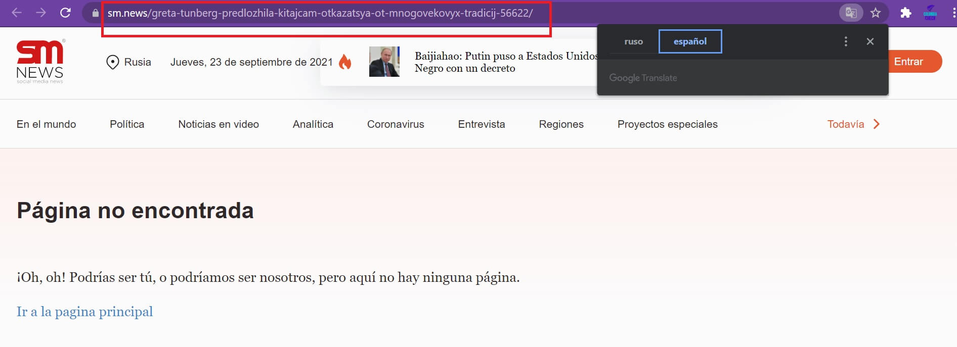 Pantallazo de página borrada de SM con URL que coincide en términos con la de Rambler