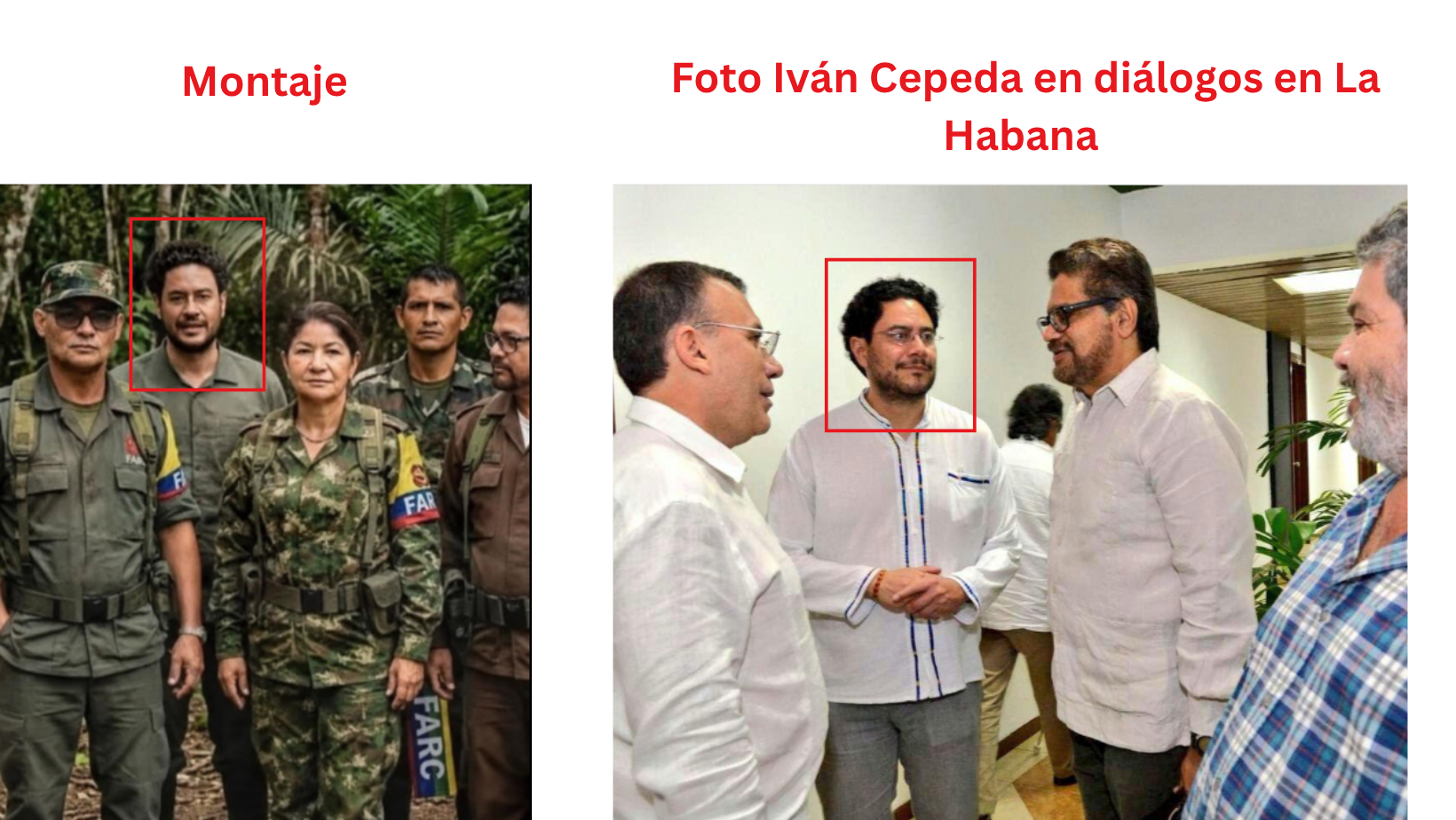 Imagen 5