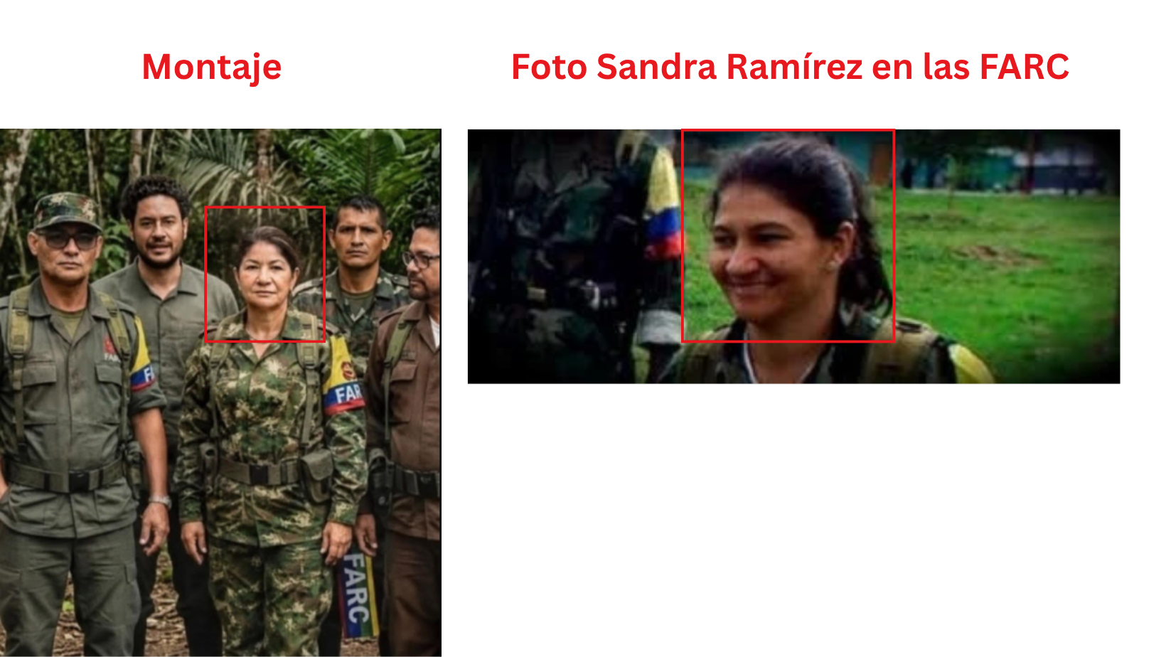 Imagen 7