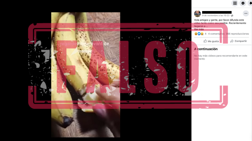 Banano_Somalia_Falso