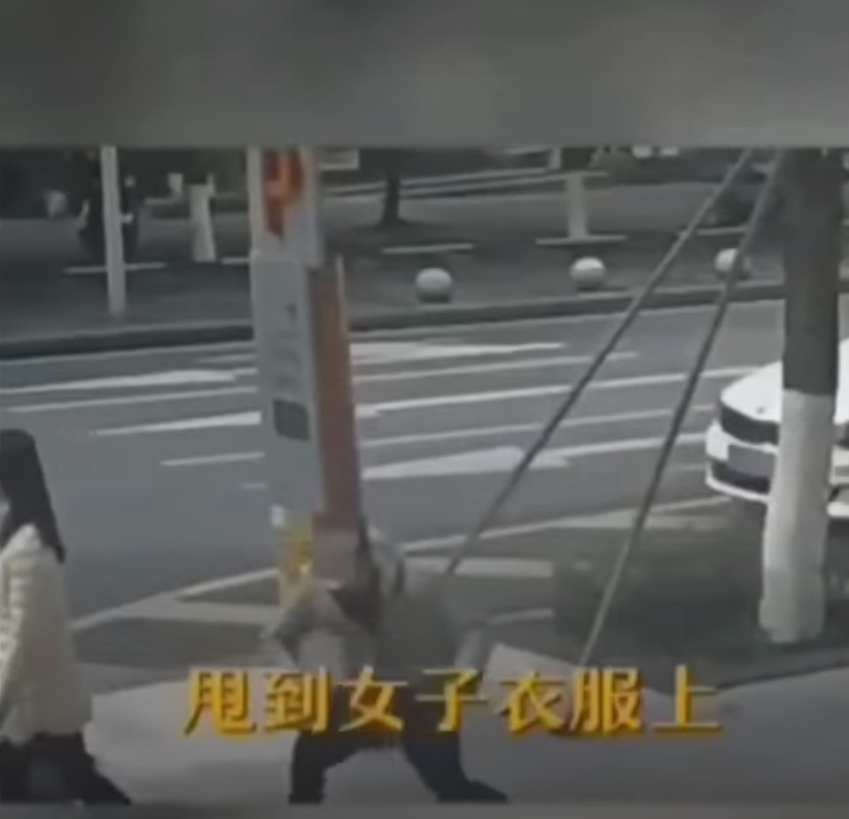 Video 20