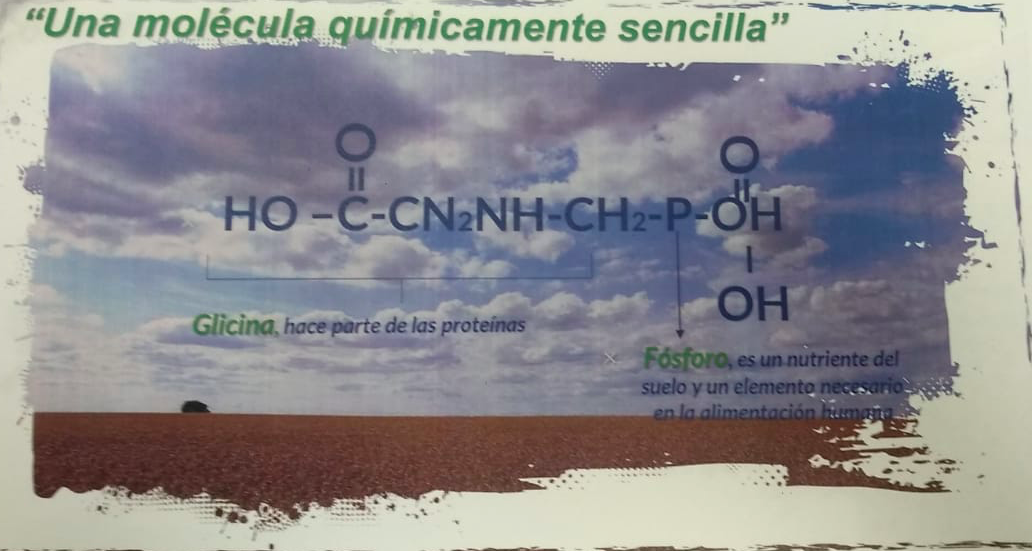 Fórmula USA