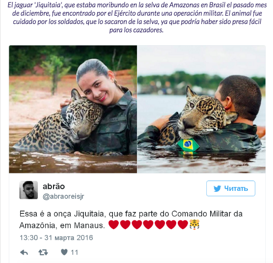jag
