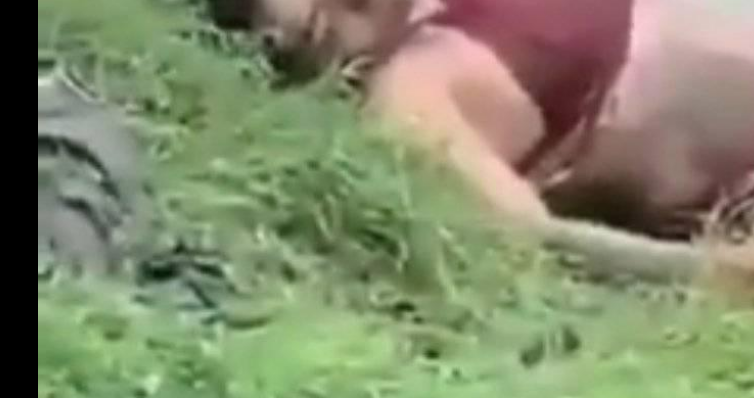 Fragmento de la foto difundida
