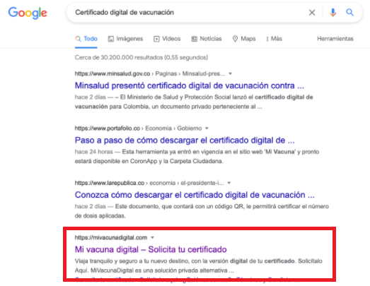 mivacunadigital.com