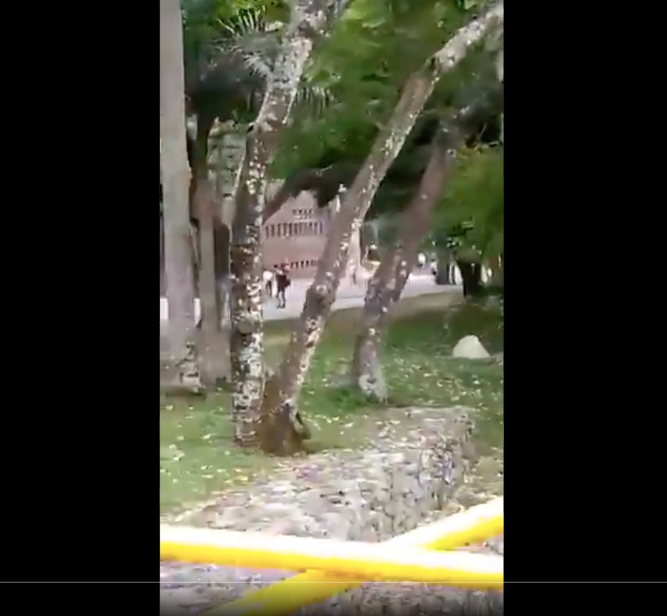 Video de policía que dispara a lo lejos