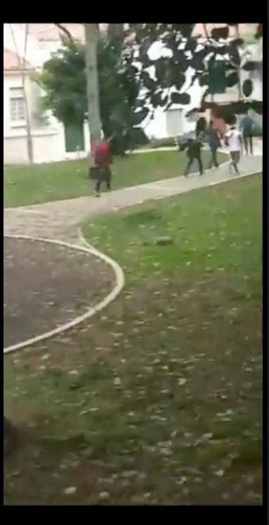pantallazo 6
