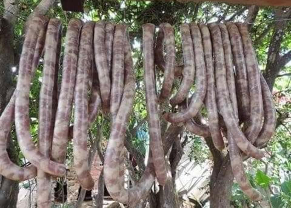 chorizos colgando