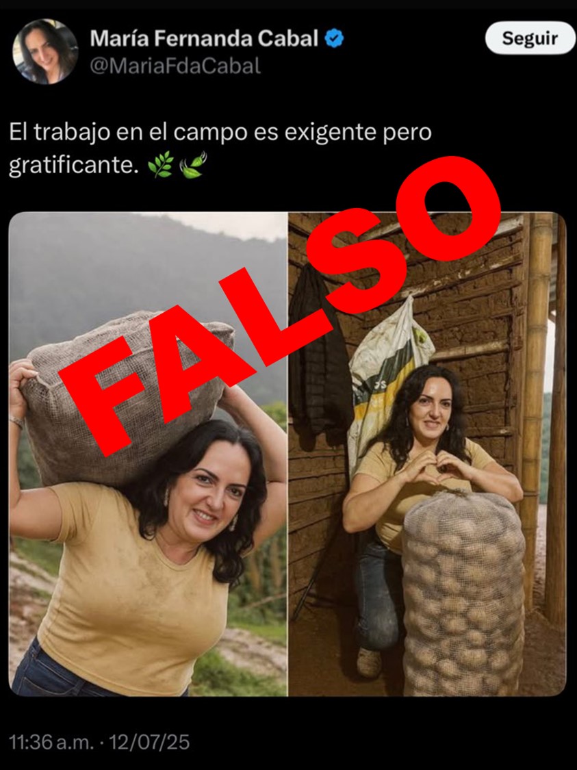 falsa desinformación
