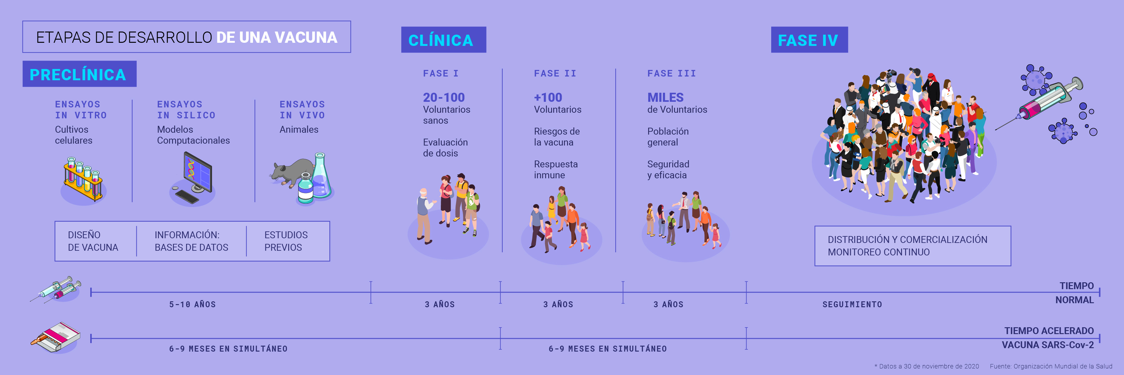 fases de desarrollo de una vacuna