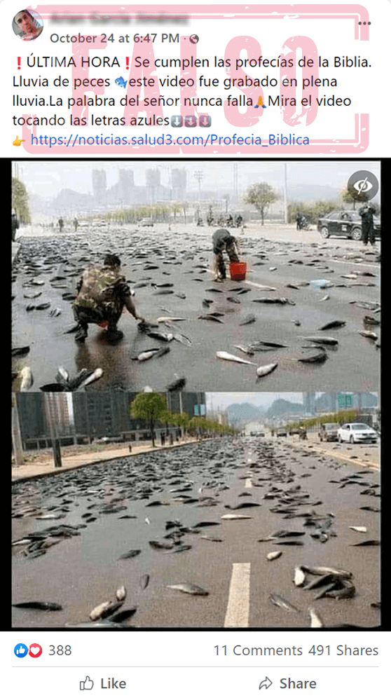 peces-china
