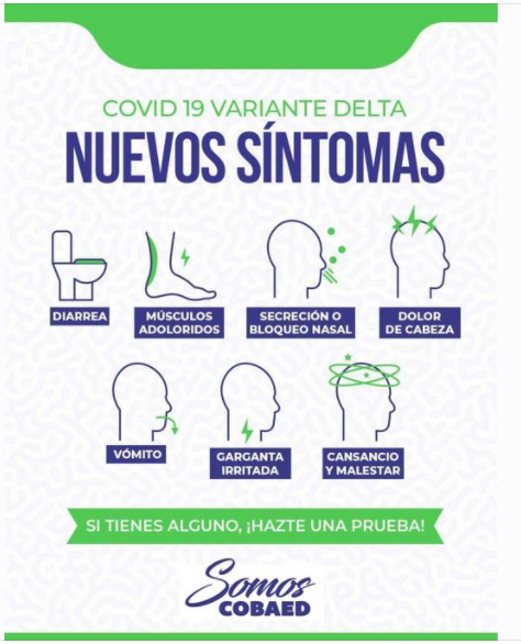 Imagen verificada
