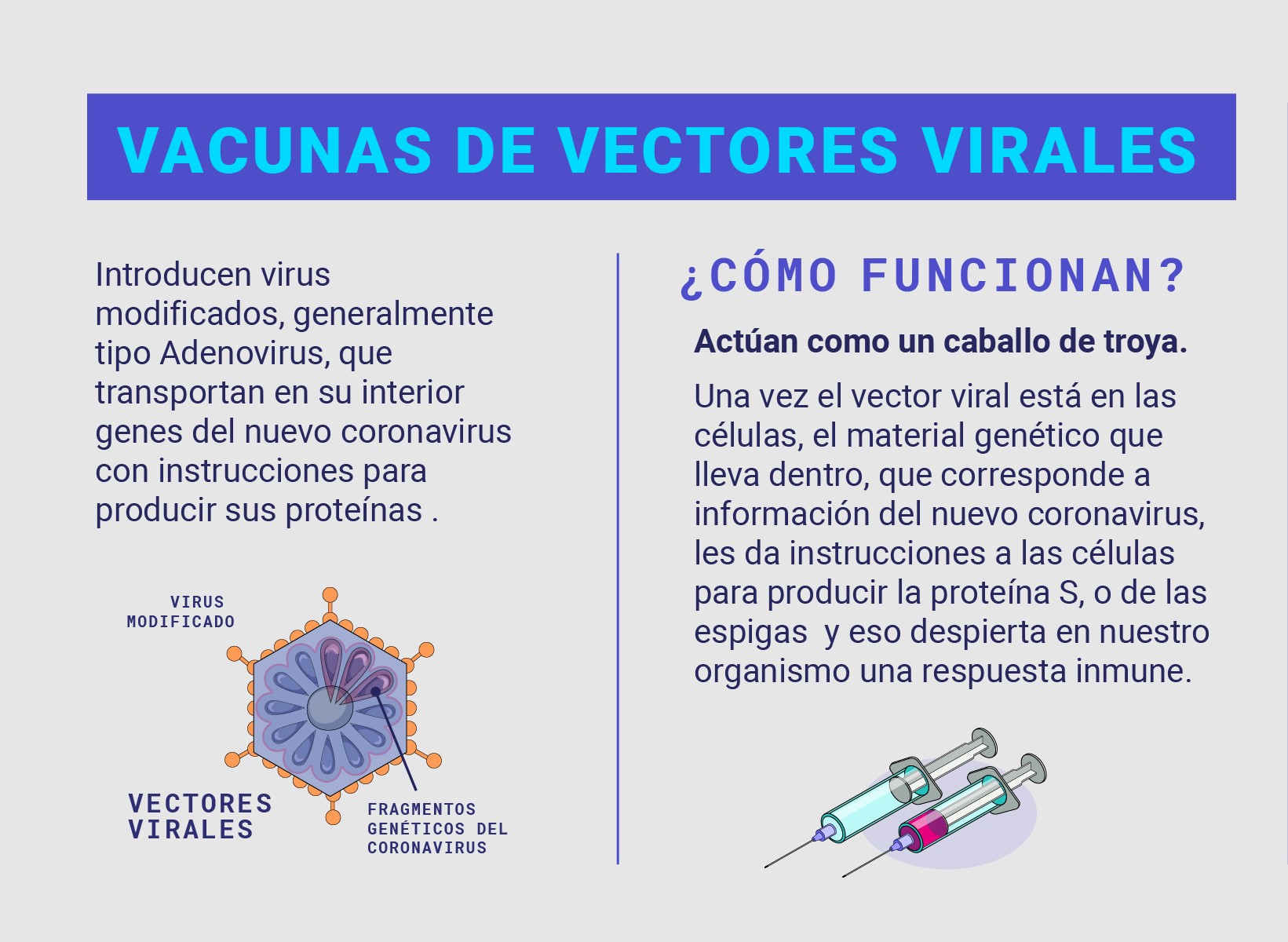 Vacunas_vectores_virales